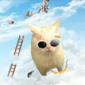 leancats avatar
