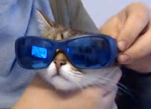 praline emote