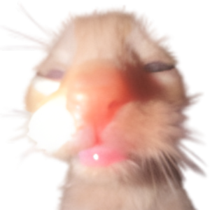 crizee avatar