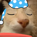 dosesleep emote