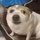 notme emote