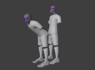 VRFS emote