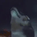 wolfJAM emote