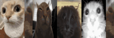 uuhmbuhtuhcuhm animated emote