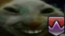 xDD emote