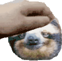 PetTheSloth animated emote