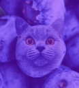 poisonberry
