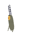 planktonPls animated emote