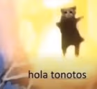 tonotos emote
