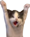 HELP emote