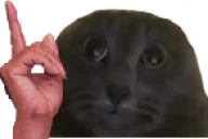 hesTuh emote