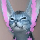 D4Cat emoji