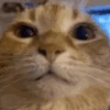 Wuhcrop emote
