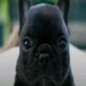 hullu9 avatar