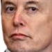 elonwtf emote