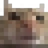 swagpixel emote