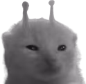 desplorp emote