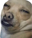 Dumbass emote