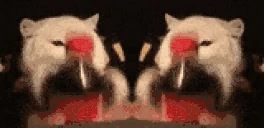 CokeShakeyTogeth emote