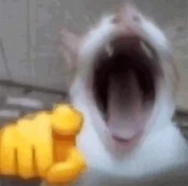 catkek emote