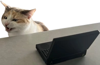 NotWatchingStream static emote