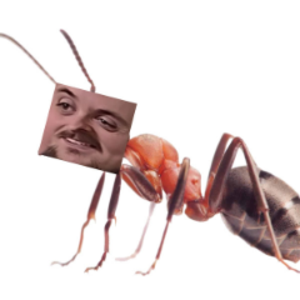 pambroise avatar