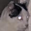 CODENAMEHURRICANEOICON emote