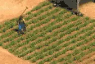 FARMING emote