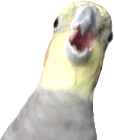BERB emote