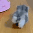 catLeave emote