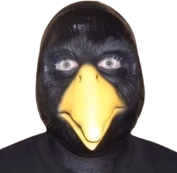 cursed_bird_stare emote