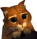 CuteStaringPussInBoots emote