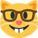 nerd_cat emote