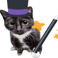 wizardcat emote