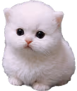 chudpert emote