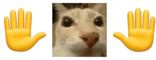 mb emote