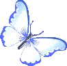 indigobutterfly emoji