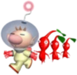 Pikmin_follow emote