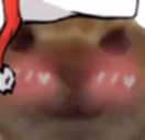 FlushedCat emote