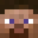 steve emote
