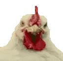 chickenJam emoji