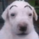 waos emote