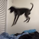 wutdadogdoin emote