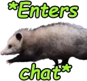opossum_entering emote