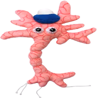 brainCell emote