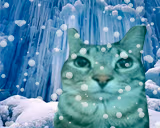 ice emote