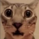 YoCuando emote
