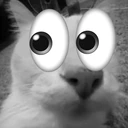 dosevoid emote