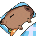 capysleep animated emote
