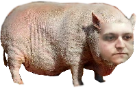 knur emote